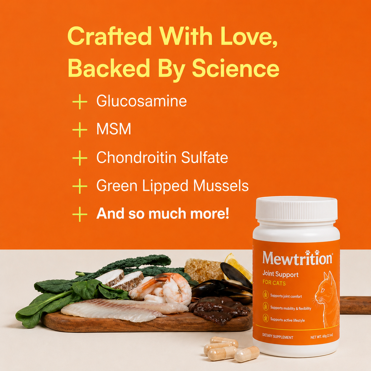 Hip & Joint Support